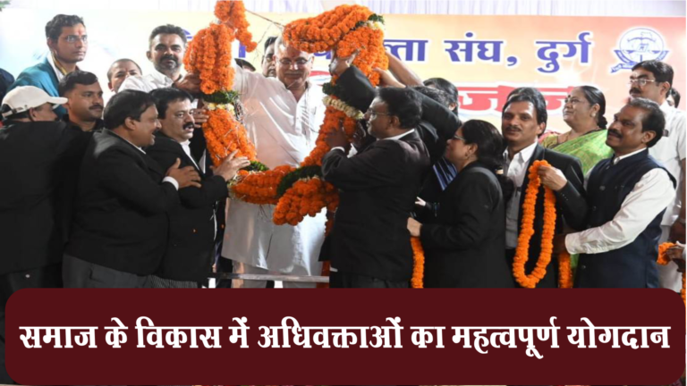 Important contribution, of lawyers, in the development, of society,