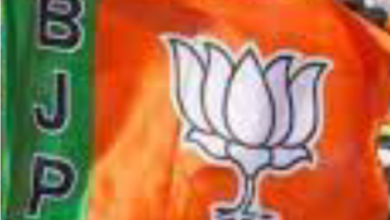 Photo of भाजपा की दूसरी लिस्‍ट आते ही सीएम बघेल ने बीजेपी पर कसा तंज