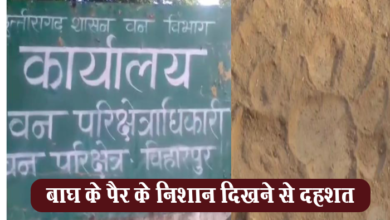 Photo of सूरजपुर में बाघ के पैर के निशान दिखने से दहशत