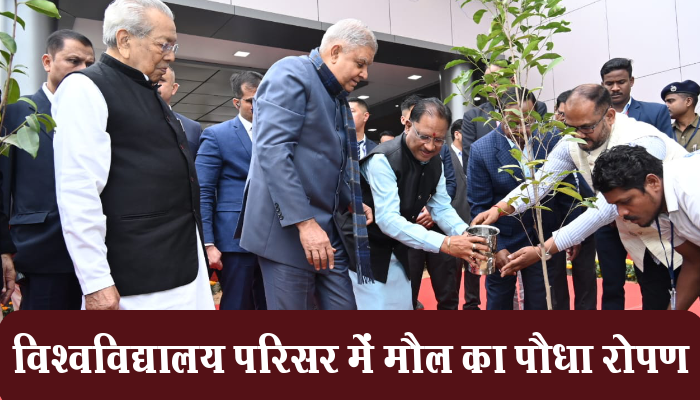 रायपुर : उप राष्ट्रपति जगदीप धनखड़, राज्यपाल विश्वभूषण हरिचंदन और मुख्यमंत्री विष्णु देव साय ने विश्वविद्यालय परिसर में मौल का पौधा रोपण किया 1 Raipur,Vice President, Jagdeep Dhankhar, Governor Vishwabhushan Harichandan, Chief Minister, Vishnu Dev Sai, planted sapling, Maul, university campus,