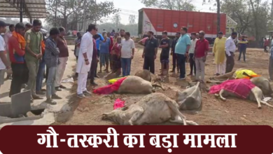 Photo of रायपुर: गौ-तस्करी का बड़ा मामला, भाजपा की सरकार बनते ही गौ-तस्करी के मामले बढ़े