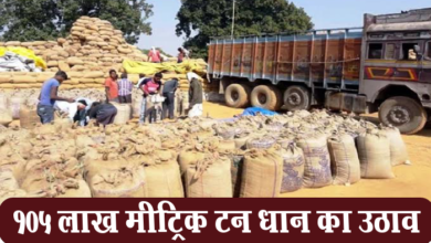 Photo of रायपुर: राज्य में 105 लाख 76 हजार मीट्रिक टन धान का उठाव