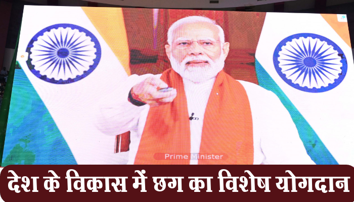 रायपुर: देश के विकास में छत्तीसगढ़ का विशेष योगदान, विकसित छत्तीसगढ़ से ही होगा विकसित भारत का सपना पूरा - प्रधानमंत्री नरेंद्र मोदी 1 Raipur, Chhattisgarh's contribution, development of country, Prime Minister, Narendra Modi,