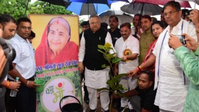 Photo of जल है तब तक जीवन है, वृक्ष है तब तक जीवन है – विधानसभा अध्यक्ष डॉ. रमन सिंह