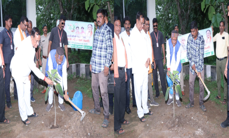 मुख्यमंत्री ने सर्किट हॉउस कसडोल में लगाया बरगद का पौधा 1 Chief Minister planted banyan sapling in Circuit House Kasdol