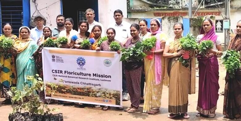 फूलो की खेती से दीदियों को मिलेगी अतिरिक्त आमदनी 1 Didis will get additional income from flower farming