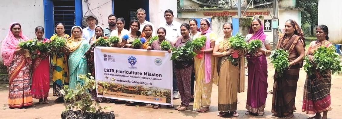 Didis will get additional income from flower farming