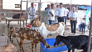 Photo of  शासन की योजना से पशुपालकों के समृद्धि की राह हुई आसान
