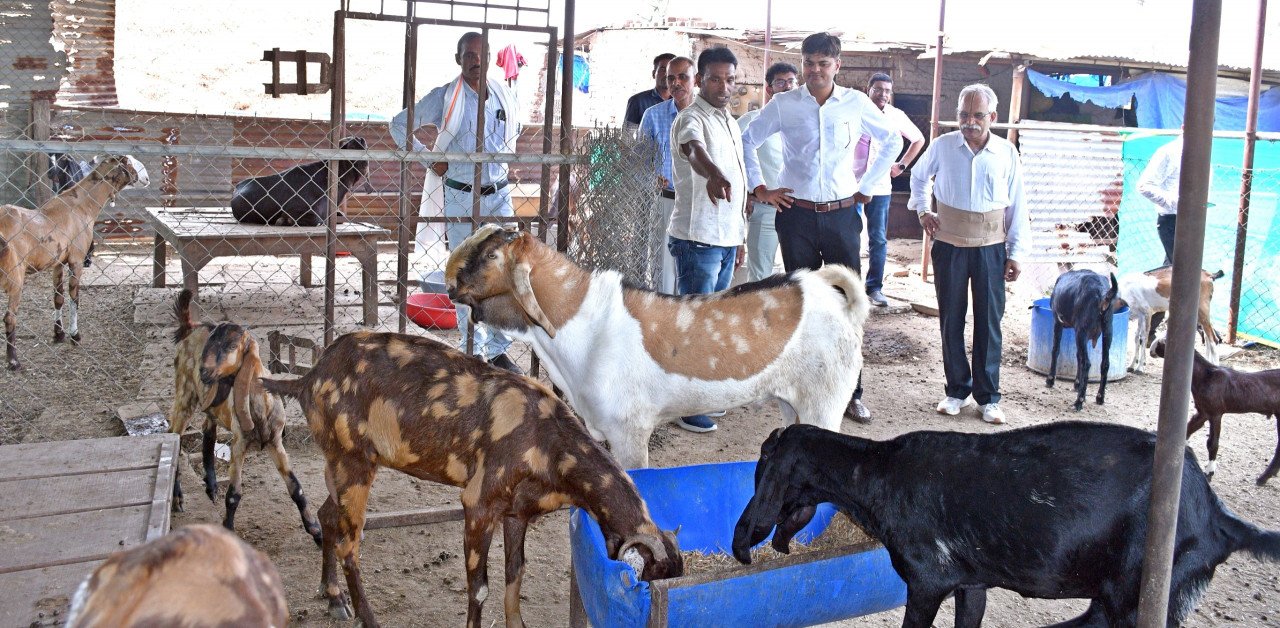 The government's scheme made the path to prosperity easier for cattle herders.