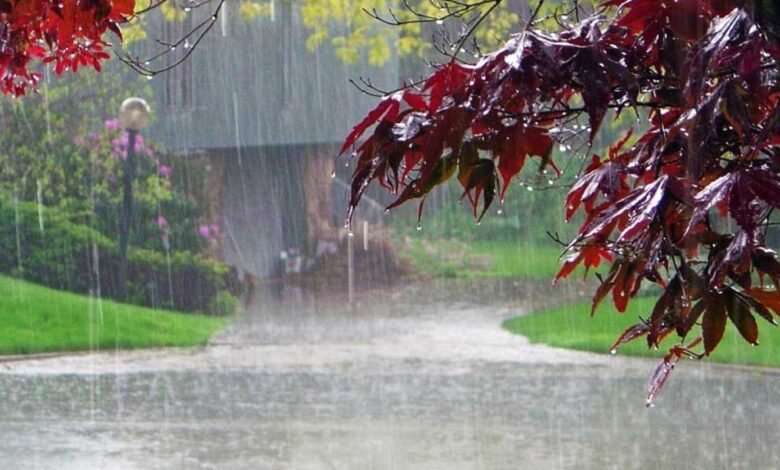 छत्तीसगढ़ में अब तक 1099.4 मि.मी. औसत वर्षा दर्ज 1 1099.4 mm rainfall so far in Chhattisgarh. average rainfall recorded