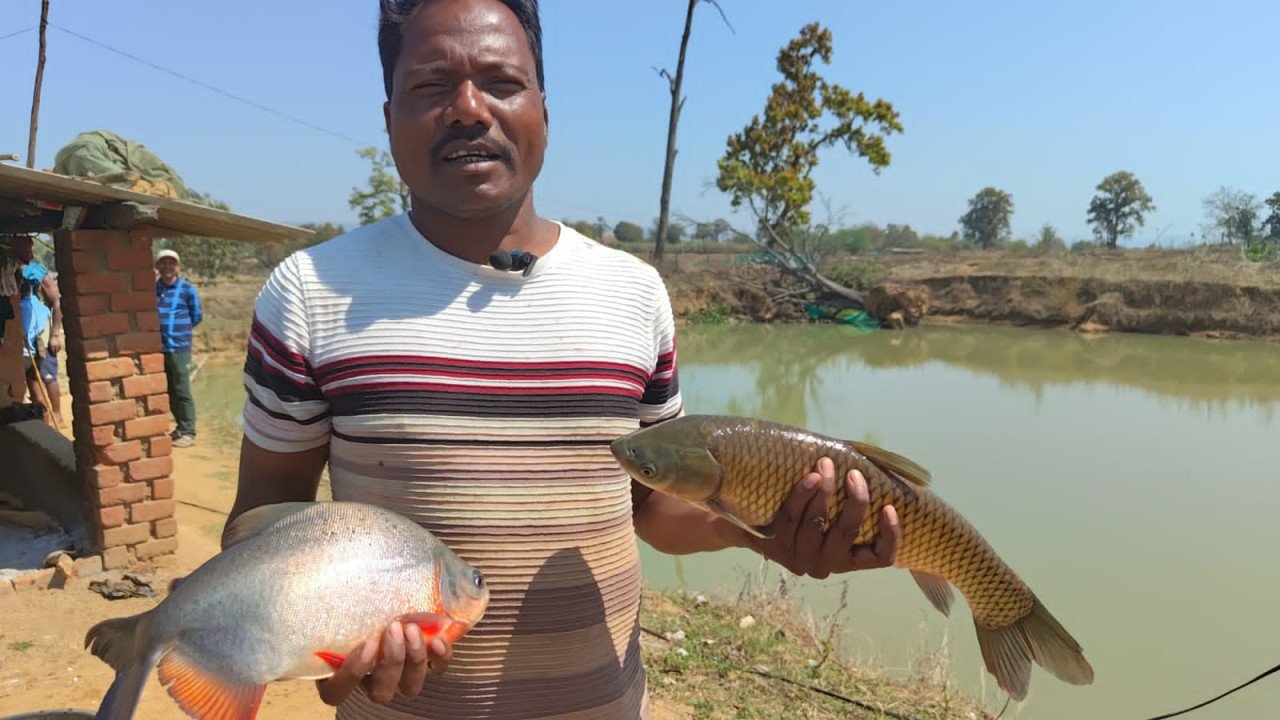 Farmers getting rich from fish farming
