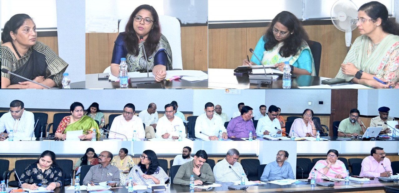 Executive meeting of State Child Protection Committee and State Child Welfare and Protection Committee concluded