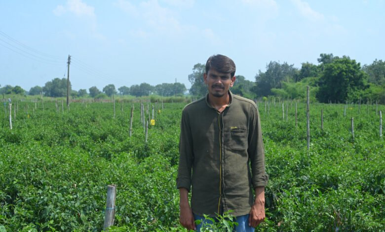 इंजिनियरिंग की पढ़ाई कर एकलव्य साहू ने किया खेती-किसानी का रूख 1 After studying engineering, Eklavya Sahu turned to farming.