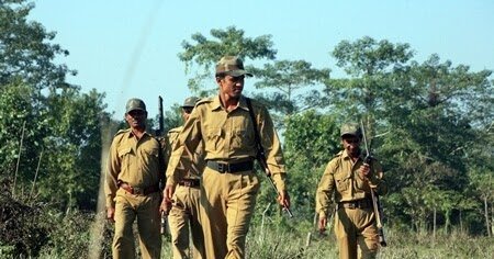 वनरक्षक राजवाड़े और वनपाल सिंह निलंबित 1 Forest Guard Rajwade and Forester Singh suspended