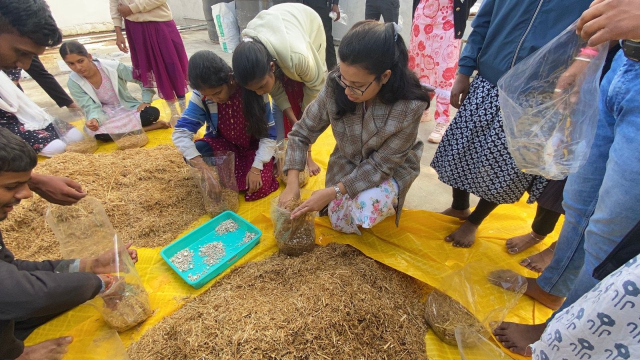 Mushroom production will be helpful in connecting youth with self-employment