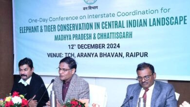 Photo of  हाथी और बाघ संरक्षण पर आधारित एक दिवसीय अंतर्राज्यीय सम्मेलन