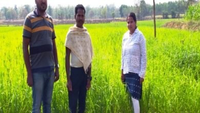 Photo of उन्नत कृषि तकनीक को अपनाकर चौतू नेताम बना सफल कृषक