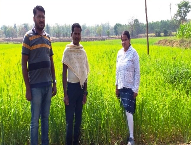 Chautu Netam became a successful farmer by adopting advanced agricultural techniques