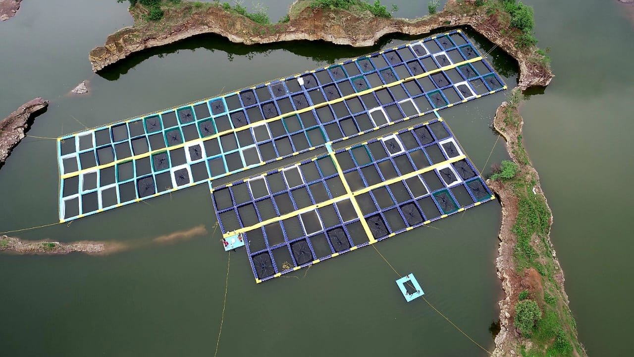 Cage culture technology in closed mines makes fish farming a new source of employment and self-reliance.