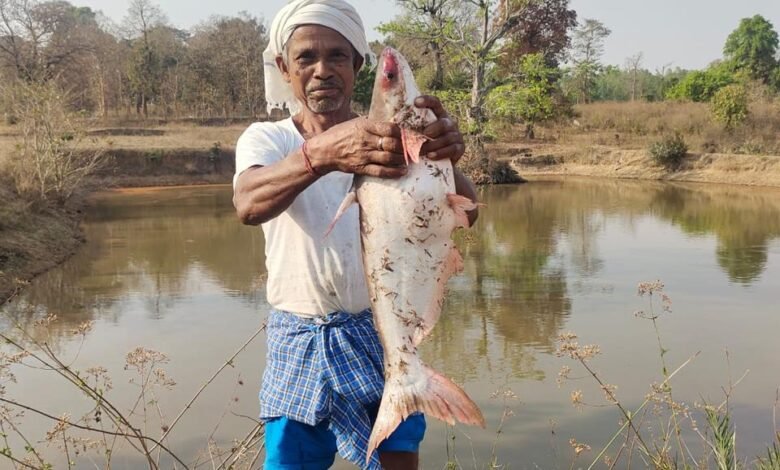 मत्स्य पालन से आर्थिक समृद्धि, सालाना आय 5.5 लाख रुपए 1 Economic prosperity from fishing, annual income Rs 5.5 lakh