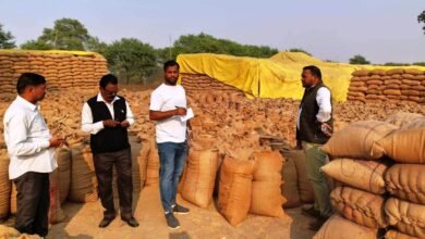 Photo of पांच धान खरीदी केन्द्रों में 52.84 लाख की गड़बड़ी उजागर 