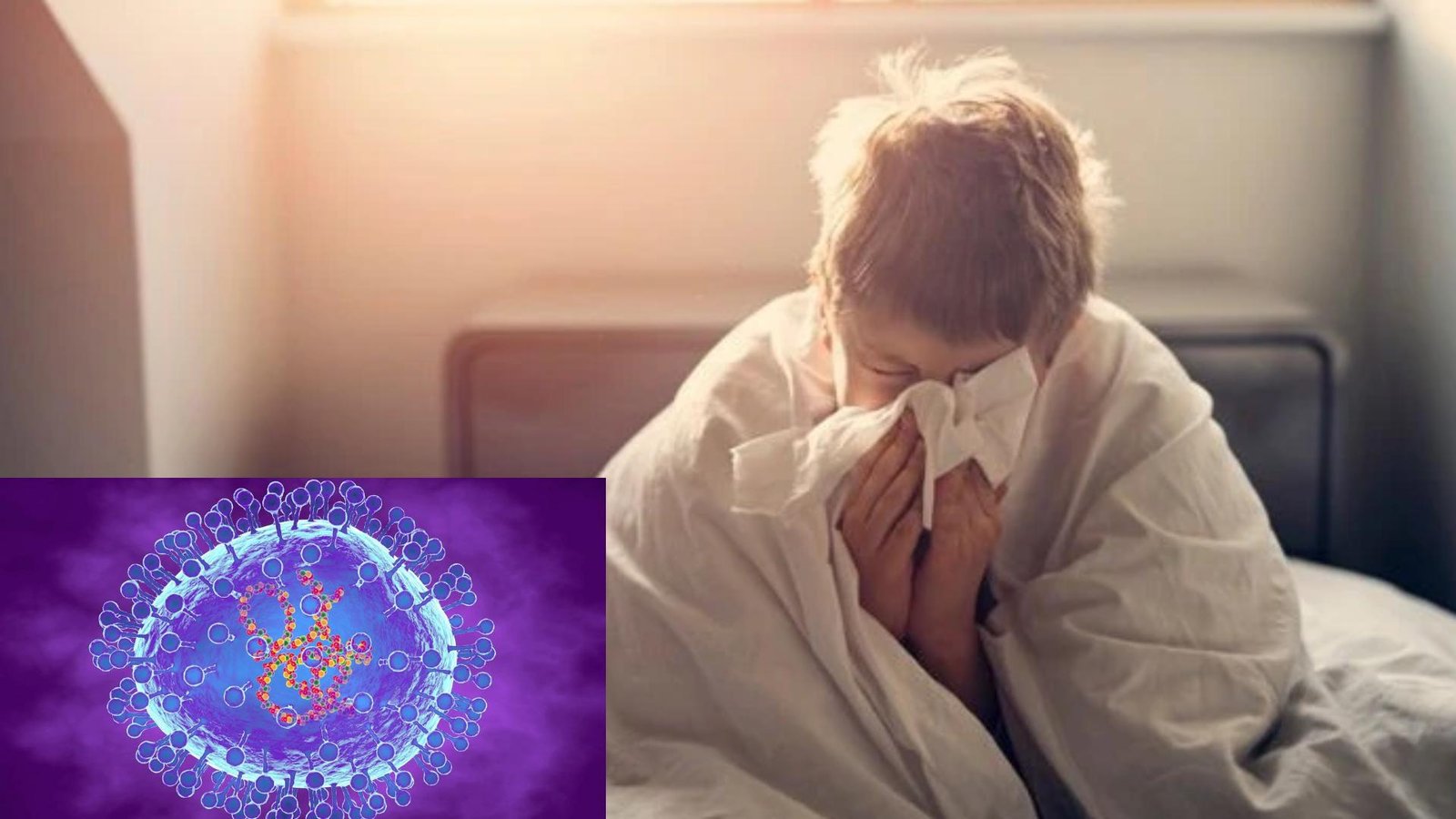 HMPV virus, which is spreading in China, knocks in Chhattisgarh!
