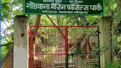 Photo of  छत्तीसगढ़ का अनमोल खजाना