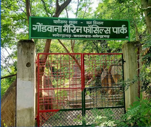 Precious treasure of Chhattisgarh