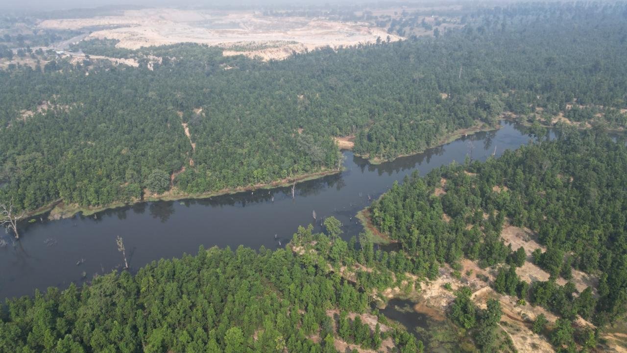 Significant increase in the density of forest cover in Bastar region