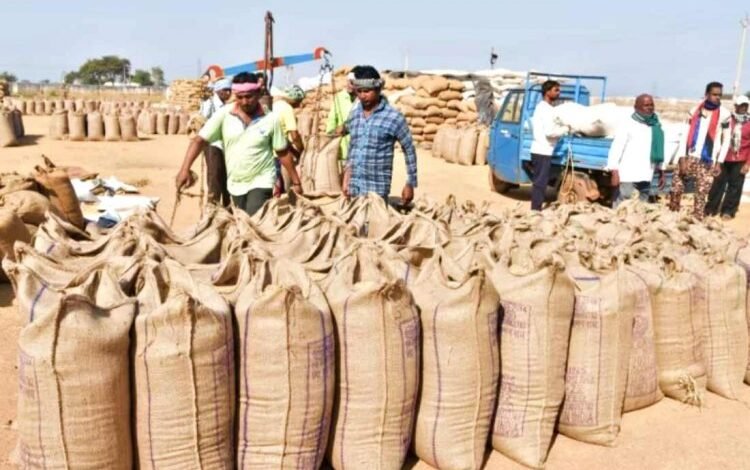 छत्तीसगढ़ में बना धान खरीदी में नया कीर्तिमान : 149.25 लाख मीट्रिक टन धान की हुई खरीदी 1 New record in paddy procurement made in Chhattisgarh: 149.25 lakh metric tonnes of paddy purchased