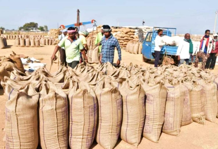 New record in paddy procurement made in Chhattisgarh: 149.25 lakh metric tonnes of paddy purchased