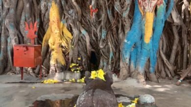 Photo of ग्राम बटंग में छुपा है एक चमत्कारी रहस्य – बरगद की गोद में विराजे भोलेनाथ!