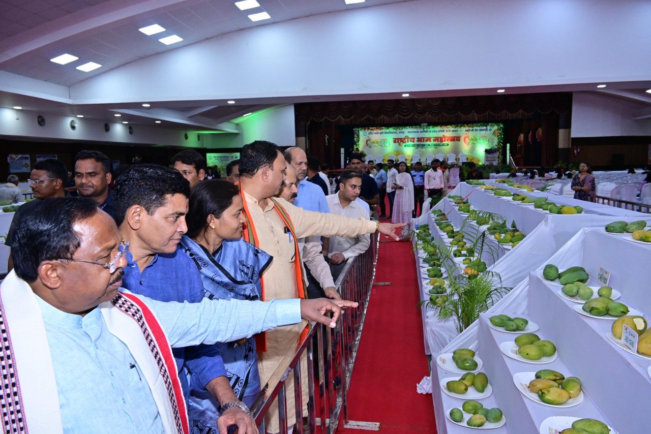 Chhattisgarh farmers will be inspired to produce mangoes from National Mango Festival: Agriculture Minister