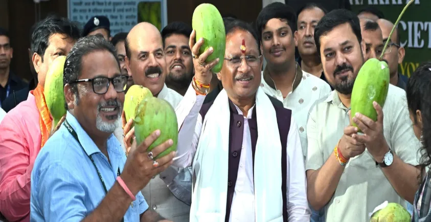 Mango cultivation is helpful in increasing the income of farmers: CM Sai