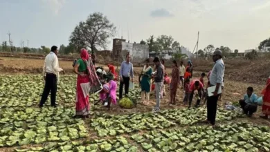 Photo of संग्राहक परिवारों को किया जा रहा है 745 करोड़ रूपये का पारश्रमिक भुगतान