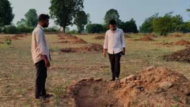 Photo of समेकित उद्यान विकास योजना के तहत 3 हेक्टेयर में होगा रोपण