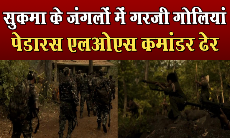 सुकमा के जंगलों में गरजी गोलियां: 5 लाख के इनामी नक्सली सहित दो ढेर, महिला माओवादी भी मारी गई 1 Bullets roared in the forests of Sukma: Two killed including a Naxalite with a reward of Rs 5 lakh, a female Maoist also killed