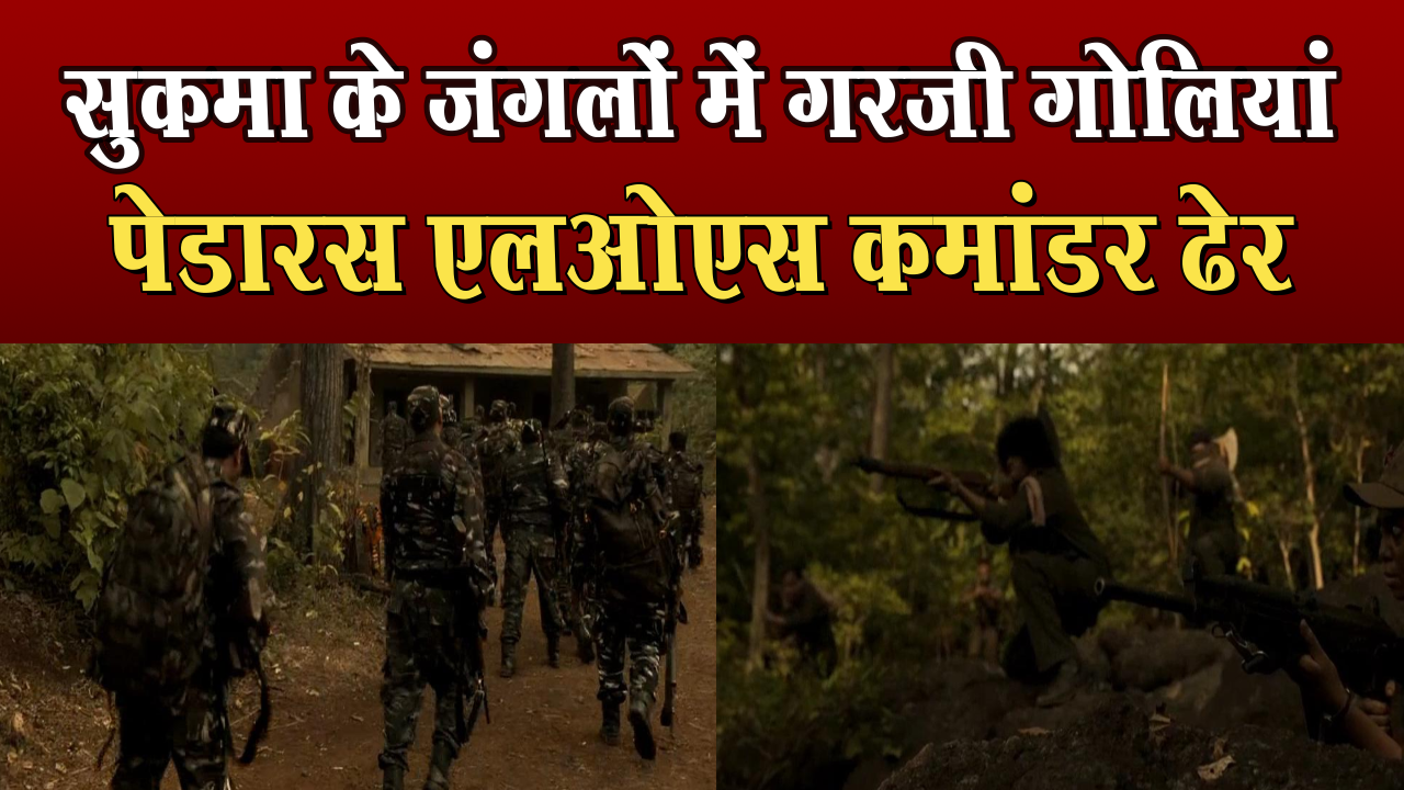 Bullets roared in the forests of Sukma: Two killed including a Naxalite with a reward of Rs 5 lakh, a female Maoist also killed