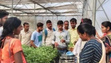 Photo of स्वच्छता से स्वावलंबन की मिसाल