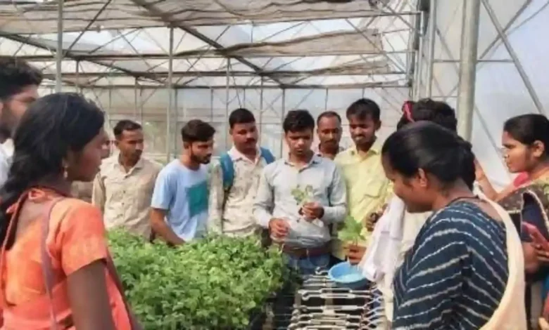 स्वच्छता से स्वावलंबन की मिसाल 1 An example of self-reliance through cleanliness