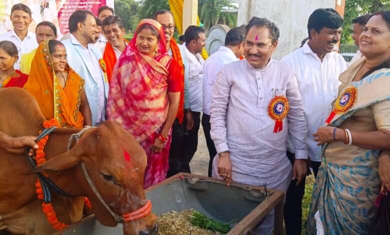 75 आदिवासी महिला किसानों को दी गई दुधारू गायें 1 Milk cows were given to 75 tribal women farmers