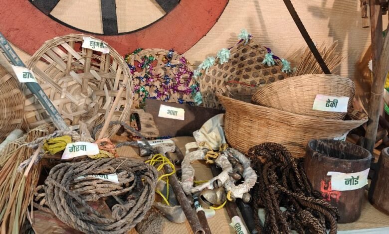 Hareli festival at Chief Minister's residence: A glimpse of Chhattisgarhi traditions
