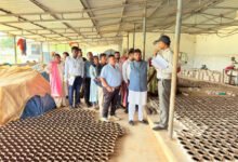 Photo of कुरूद के ग्रामीण उद्योगों में नयी ऊर्जा: स्थानीय हस्तशिल्प और पारंपरिक कला का विकास जारी
