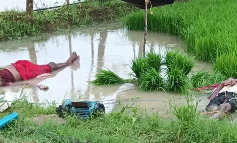 Farmer couple working in the field died due to electric shock, mourning spread in the village