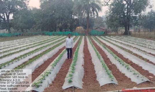 परंपरागत से आधुनिक खेती की ओर: लालसुहनार के साधूराम की कहानी बनी सैकड़ों किसानों के लिए मिसाल 1 From traditional to modern farming: The story of Sadhuram of Lalsuhanar became an example for hundreds of farmers
