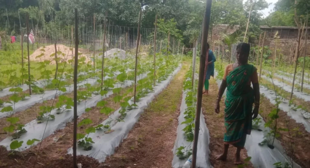 Screenshot 2025 07 20 4