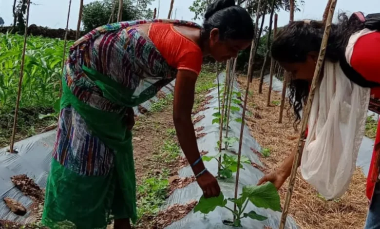 Women of Bastar are becoming 'Lakhpati Didi', a new example of self-reliance through Bihan Yojana