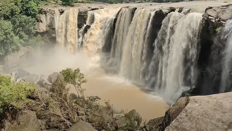 अमृतधारा जलप्रपात: बारिश में छलांग लगाती हसदेव की धारा, पर टूटी रेलिंग बनी खतरे की घंटी 1 Amritdhara waterfall: Hasdev's stream leaps in the rain, but the broken railing becomes a danger signal