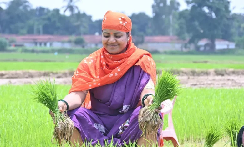 विधानसभा सत्र खत्म होते ही खेत में उतरीं मंत्री लक्ष्मी राजवाड़े, सोशल मीडिया पर लिखा- धान हमारी अस्मिता है 1 https4rtheyenews.comas-soon-as-the-assembly-session-ended-minister-laxmi-rajwade-went-to-the-field-wrote-on-social-media-paddy-is-our-identity