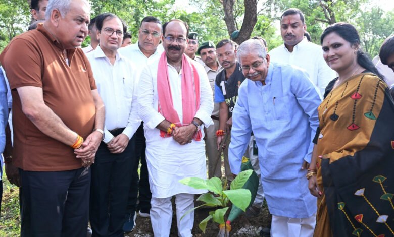 'One tree in the name of mother' campaign received widespread support during Van Mahotsav